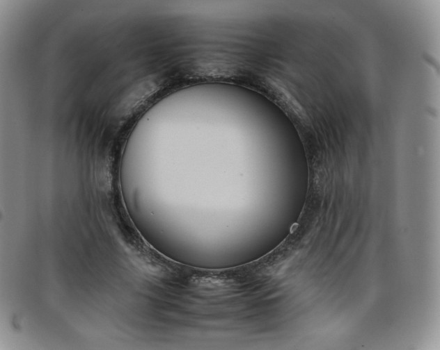 X0000099230635200805011137