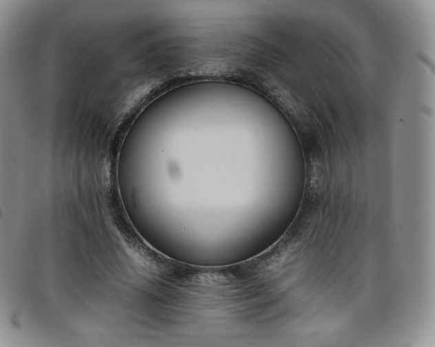 X0000099230636200805011137