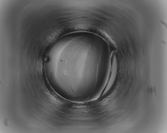 X0000099230637200805011137