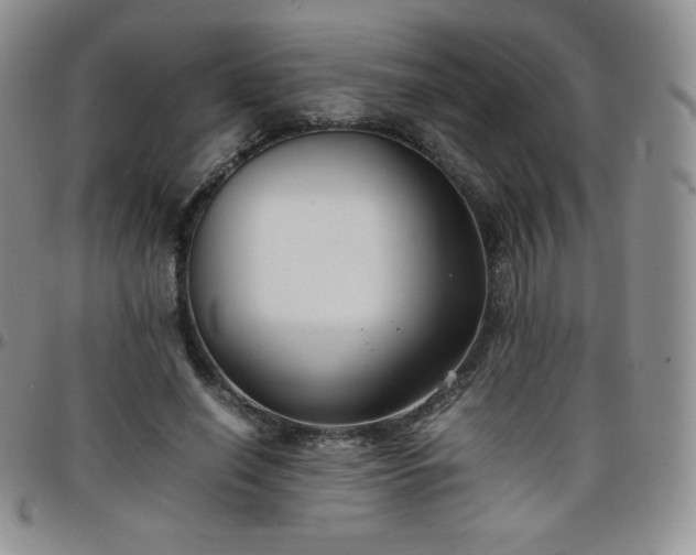 X0000099230638200805011137