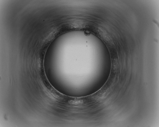 X0000099230639200805011137