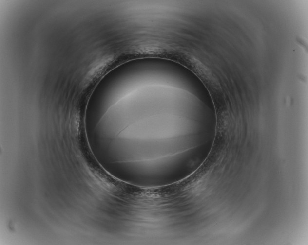 X0000099230640200805011137