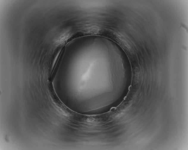 X0000099230641200805011137