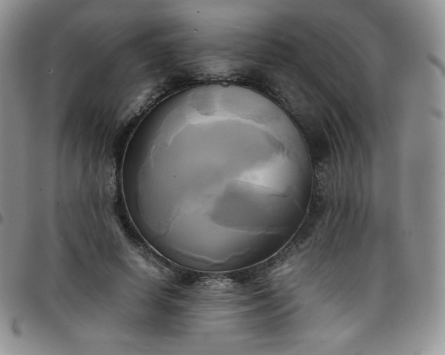 X0000099230642200805011137