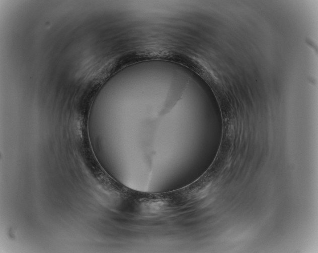 X0000099230643200805011137