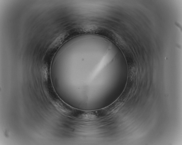 X0000099230644200805011137