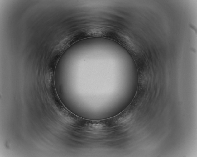 X0000099230645200805011137