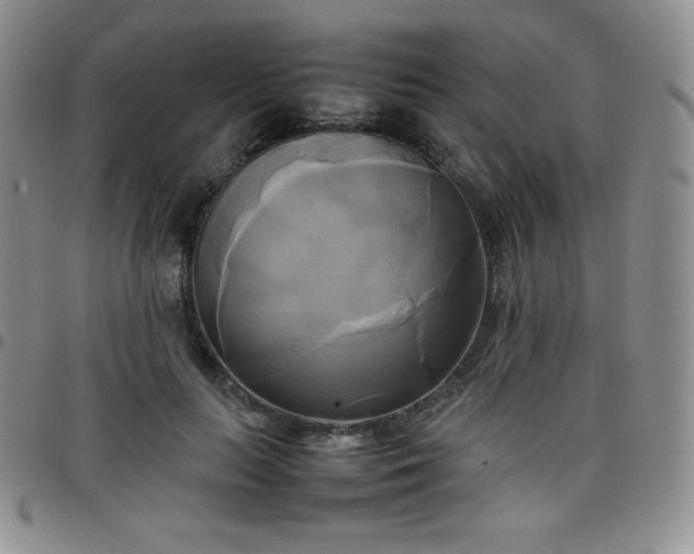 X0000099230647200805011137