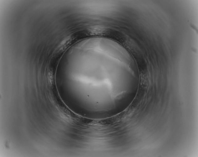 X0000099230648200805011137