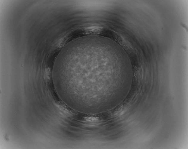 X0000099230649200805011137