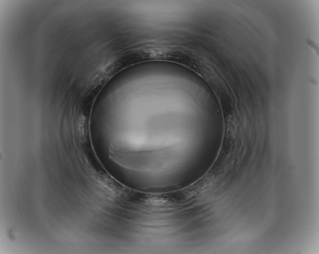 X0000099230650200805011137