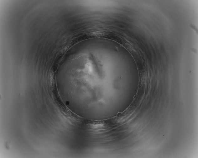 X0000099230651200805011138