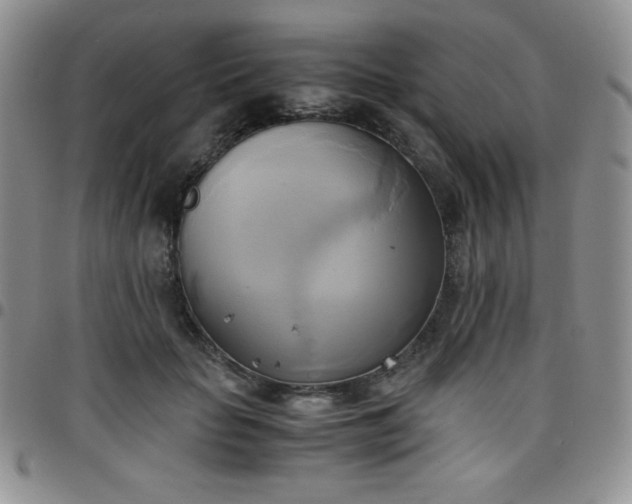 X0000099230653200805011138