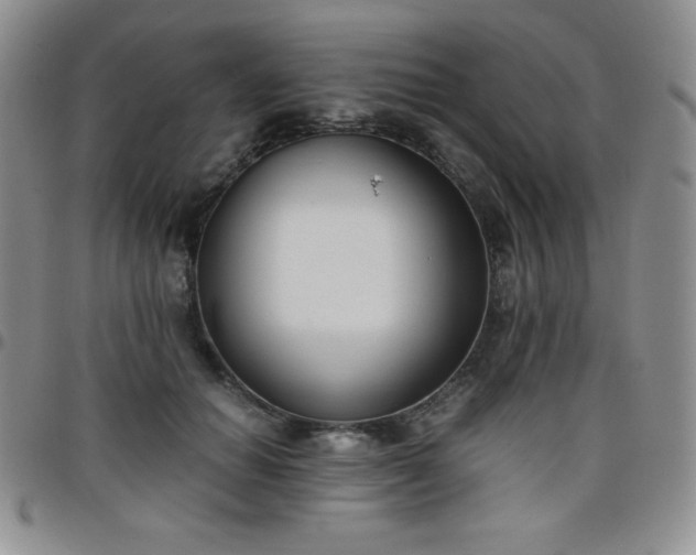 X0000099230654200805011138