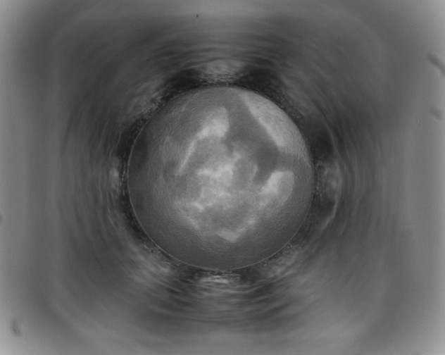 X0000099230655200805011138