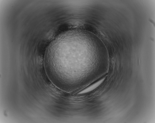 X0000099230657200805011138