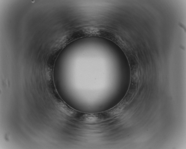 X0000099230658200805011138