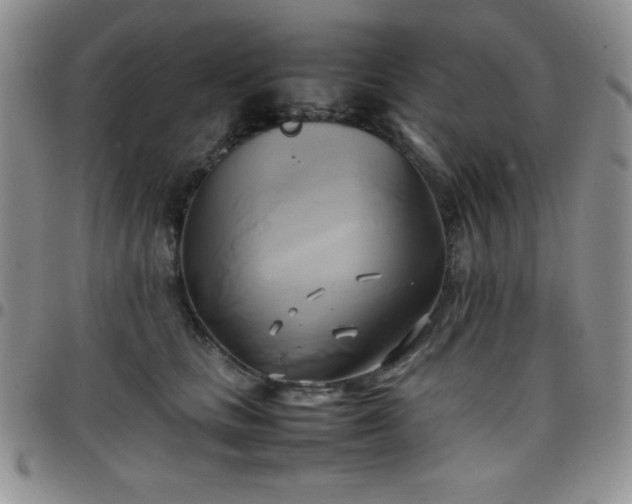 X0000099230661200805011138