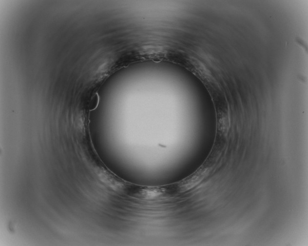 X0000099230662200805011138