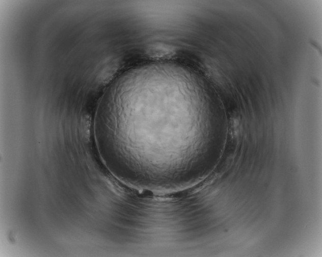 X0000099230664200805011138