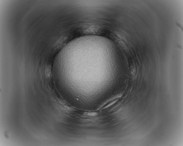 X0000099230665200805011138