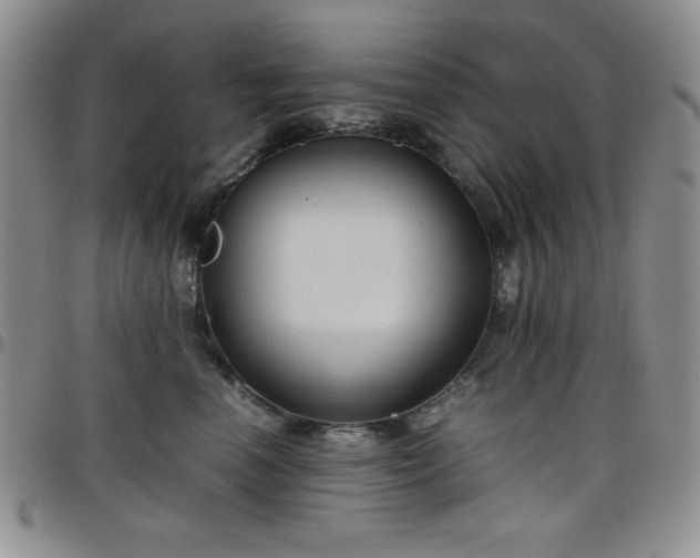 X0000099230666200805011138