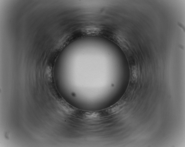 X0000099230667200805011138