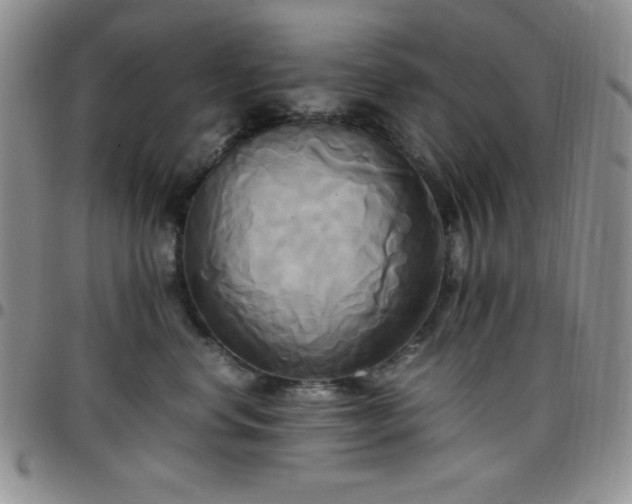 X0000099230668200805011138