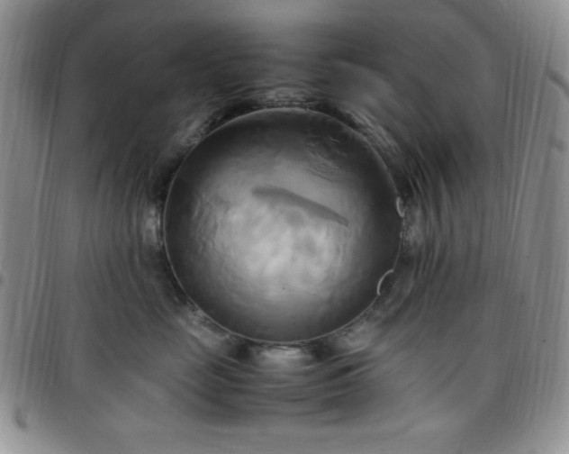 X0000099230669200805011138