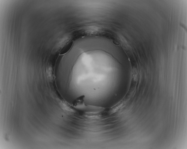 X0000099230670200805011138