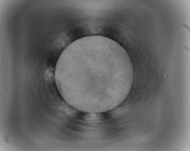 X0000099230672200805011138