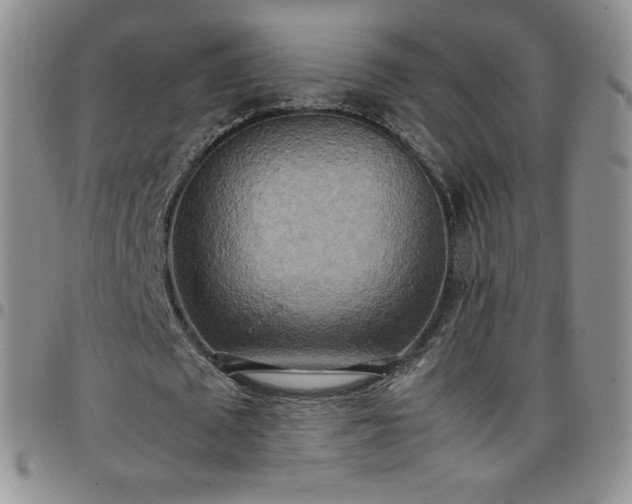 X0000099230673200805011137