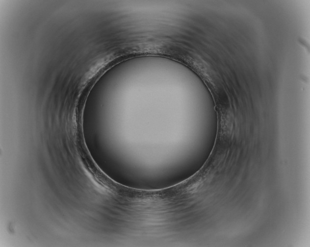 X0000099230674200805011137