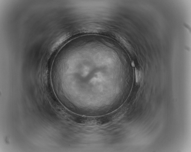 X0000099230675200805011137