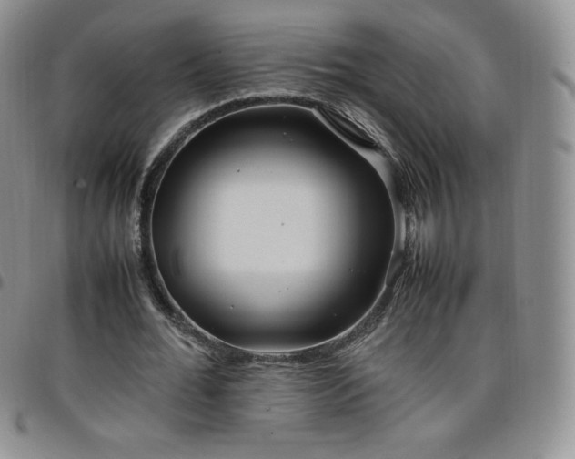 X0000099230676200805011137