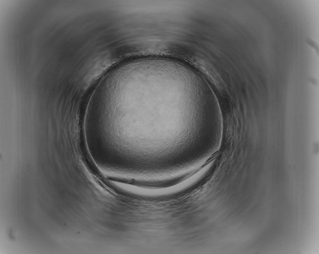 X0000099230677200805011137