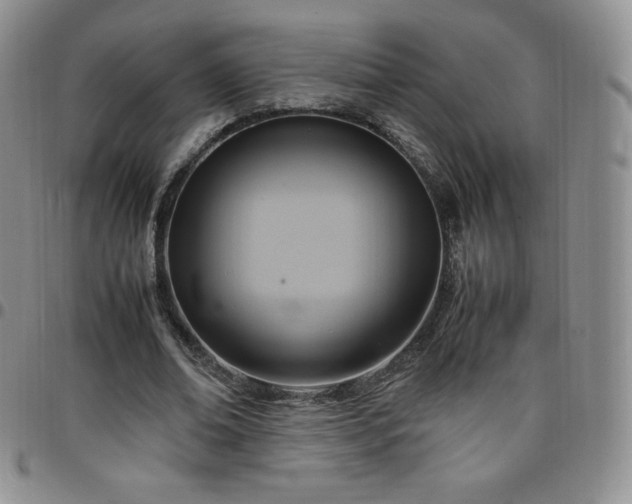 X0000099230678200805011137