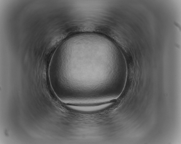 X0000099230681200805011137