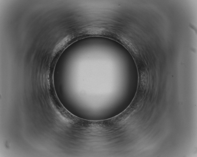 X0000099230682200805011137