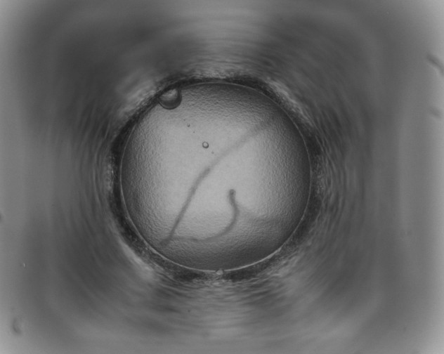 X0000099230683200805011137