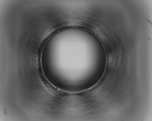 X0000099230684200805011137