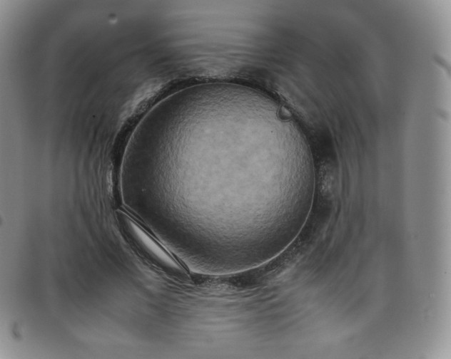 X0000099230685200805011137