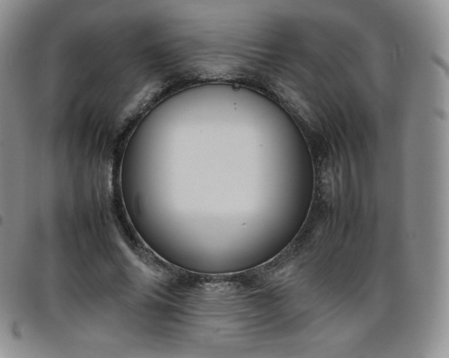 X0000099230686200805011137