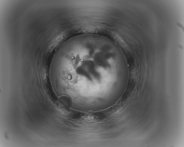 X0000099230687200805011137