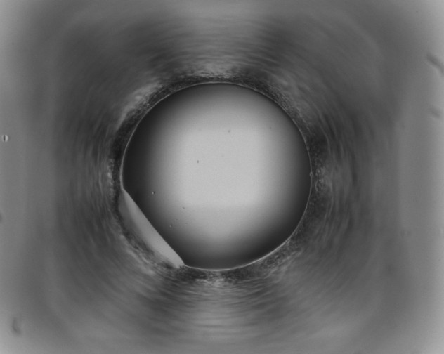 X0000099230688200805011137