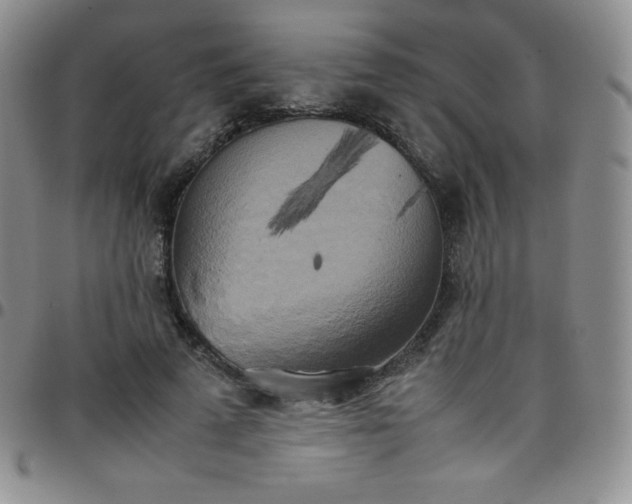 X0000099230689200805011137