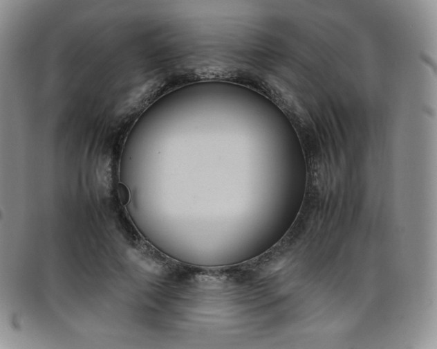 X0000099230690200805011137