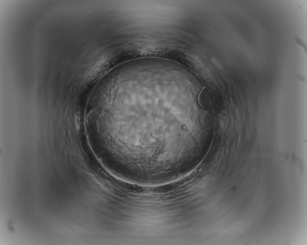 X0000099230691200805011137