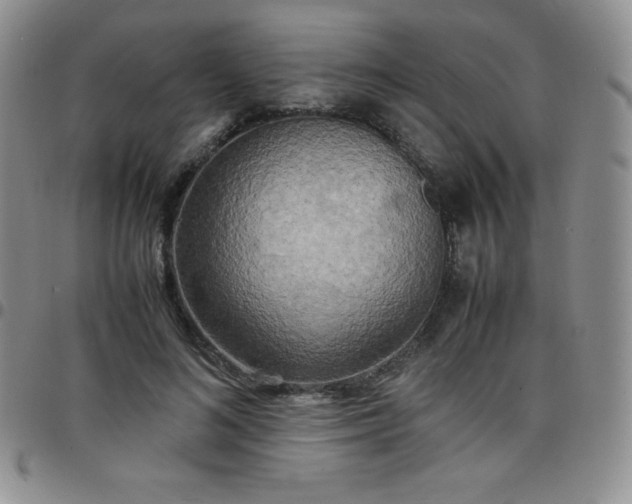 X0000099230692200805011137