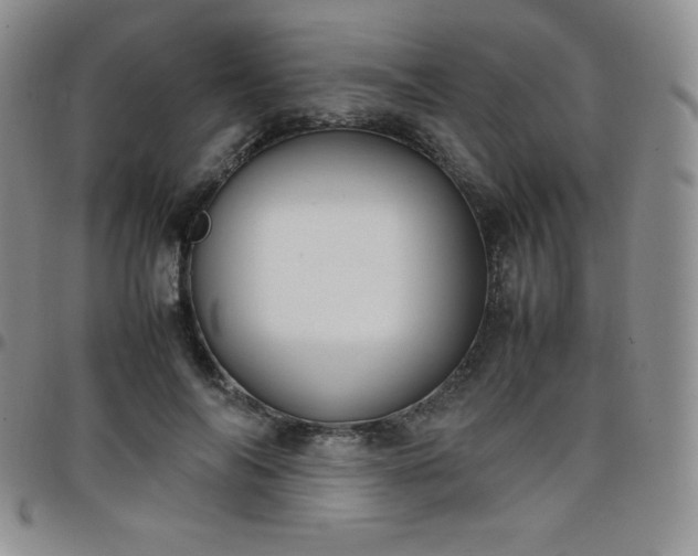 X0000099230694200805011137